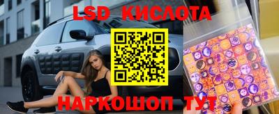 сатива Краснознаменск