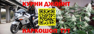 сатива Краснознаменск