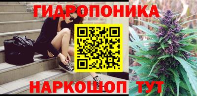 сатива Краснознаменск