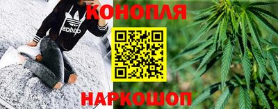 сатива Краснознаменск