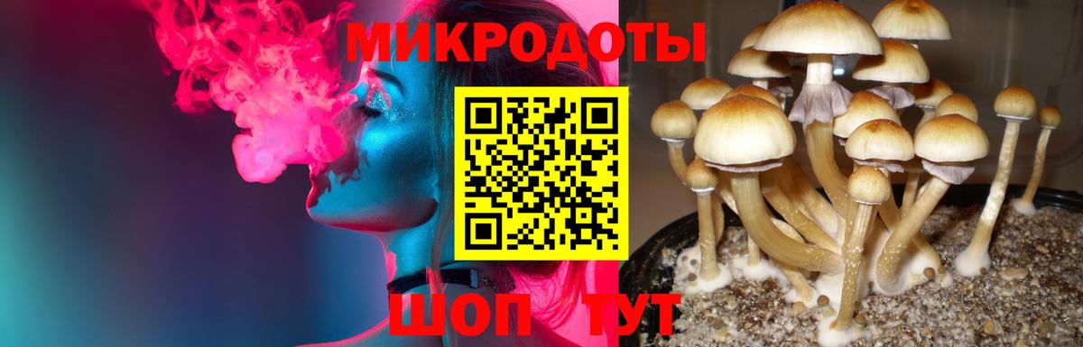 Псилоцибиновые грибы мицелий Кохма
